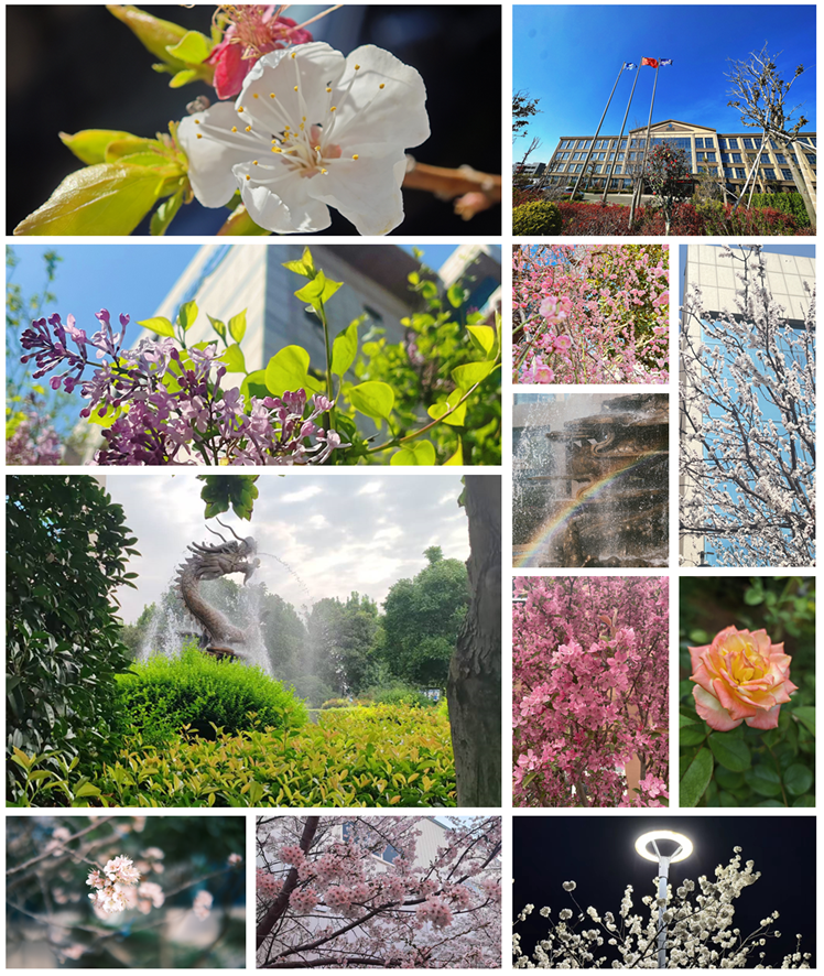 定格精彩 追寻美好——yl23455永利官网员工美拍活动落地